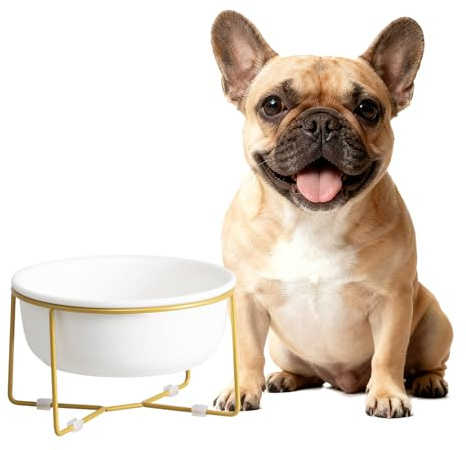 Elevated Ceramic Dog Bowl with Metal Stand - Raised Feeding Dish for Small and Medium Dogs - Ideal for Food or Water - Each Holds 600ml / 3.2 Cups (Approx. 320g) - White