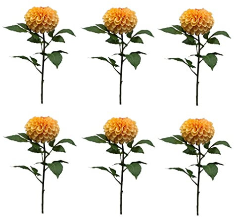 6er Set künstliche Pompon Dahlien Dahlie orange gelb H. 74cm Emerald Kunstblumen