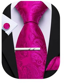 Barry.Wang Hot Pink Tie with Tie Clip for Men Paisley Silk Necktie Pocket Square Cufflinks Set Formal Wedding Party Business