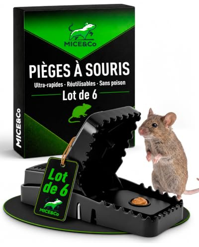 Mice&Co 6 Cepos para Ratones Reutilizables sin Veneno, Ratonera
