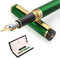 Dryden Designs Fountain Pen - Medium Nib Premium Box | 6 Ink Cartridges Included | Emerald Green