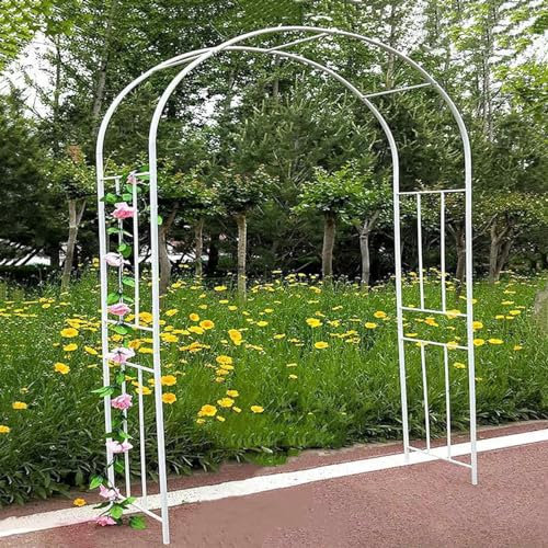 Arche de jardin en métal pour plantes grimpantes - Résistante aux intempéries - Décoration de terrasse - 230 x 270 cm - Blanc - Parfait pour les treillages de jardin et les espaces extérieurs