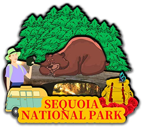 Sequoia National Park California USA magneti da frigorifero 3D in legno artigianato cucina decorazione regali e souvenir di viaggio -2