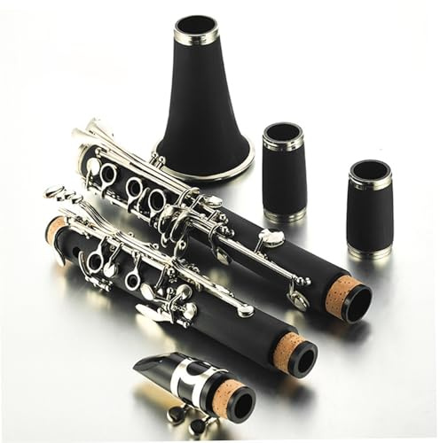 Standard klarinette Professionelle Klarinette Für Anfänger In B-Dur Schwarzes Holzblasinstrument