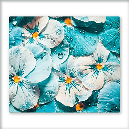 Canvas Fly 60x52 Glas-Herdabdeckplatte für Induktions- & Cerankochfeld, Küchen-Spritzschutz, Universale Küchenarbeitsplatte, Schneidebrett & Kochplatte-Abdeckung, Glasplatte inkl.Silikonnoppen