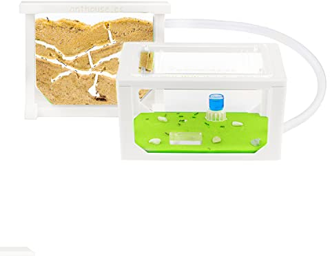 AntHouse - Ameisenfarm aus Sand | 3D Mini Set (Sandwich + Futterbox) | Weiß Ant Farm | Inklusive Ameisenkolonie