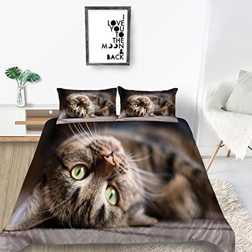 TMMDH Bettwäsche 200x200 SüßE Tier Tabby Katze Bettwäsche Sets Bequem Atmungsaktiv Hypoallergen Sommerbettwäsche Bettwäsche Set + 2 Kissenbezug 80x80 cm,für Einzelbett Schlafsaal