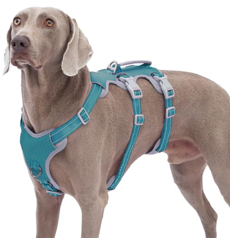 Huntboo Hunde Sicherheitsgeschirr,Hundegeschirr Ausbruchsicher, Hundegeschirr für Große Hunde No Pull mit Griff,Reflektierend, Atmungsaktiv,Langlebig,Verstellbare Weste für Spaziergänge (Blau, XL)