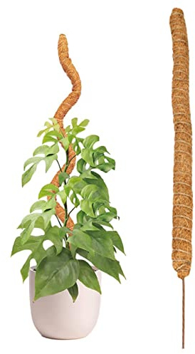 Baogao 80cm Tuteurs en Coco Monstera, Bâton Culture Extensible Naturel, Support Tuteur Plante Grimpante Intérieur pour Monstera Maison Jardin