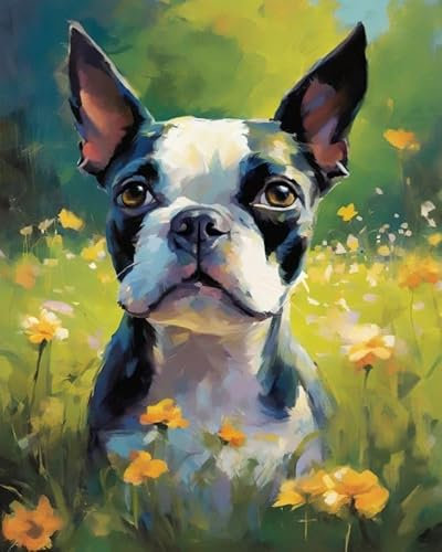 ZMHZMY Malen nach Zahlen Boston Terrier Hund,Graswiese Painting by Numbers Kit DIY ölgemälde Kit für Erwachsene,Anfänger Painting Set 16x20 Zoll Leinwanddruck Wandkunst Dekoration