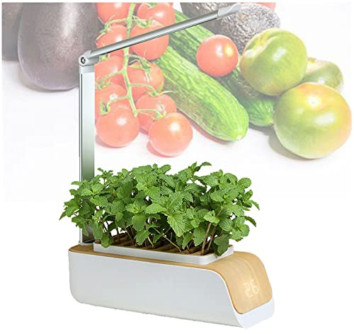 Sistema di Coltivazione idroponica, Kit idroponico per Interni, luci per Piante da Interno, 16 Ore di Lavoro + 8 Ore di Sonno, coltiva Erbe aromatiche in casa, Ottimo per la Crescita delle p