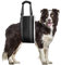 Aide au transport complet du corps, aide aux escaliers, porte-chien, sangle de transport, aide au transport réglable, harnais de levage pour chiens ayant des problèmes de mouvement