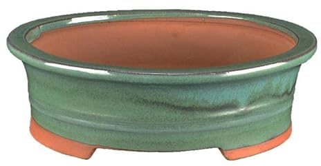 Ovale Bonsaischale aus grün glasiertem Steinzeug 17x14x5,5 cm - 2836Vb