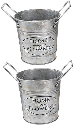 ibasenice 2 Set Vaso Da Fiori in Vaso Per Piantare in Ferro Vaso Per Piante Domestiche Piantare Vasi Di Fiori Vaso Di Fiori Fiore Ferro Zincato Argento 2 Pezzi * 2