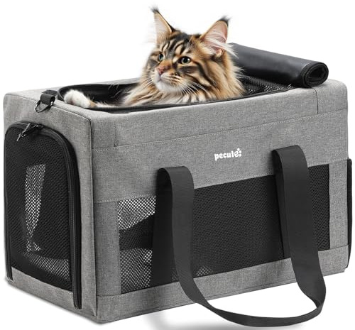 pecute Kattväska, transportväska, stabil, hundtransportväska, hålla husdjur, bärväska, kattbärväska, lätt, ventilerad katttransportlåda för resor, bil, veterinär, upp till 6 kg, ljusgrå XL