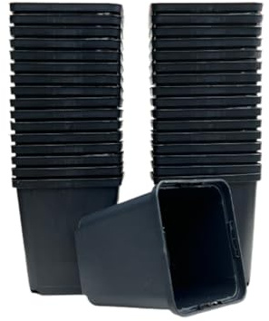 spiceboxx 100x 9x9x9,5cm Profi Anzuchttöpfe eckig Vierecktopf Pflanztöpfe Blumentöpfe klein Anzucht Vierkanttöpfe Tomatentopf Rosentopf Kunststoff Blumentopf Plastik schwarz