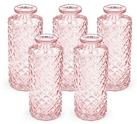 Blümelhuber 5er Set Kleine Vase Glas Deko Hochzeit - Vase Klein - Vase Modern - Deko Frühling - Pflanzen Deko Trockenblumen Set Vasen Hochzeitsdeko (Rose), WM1554