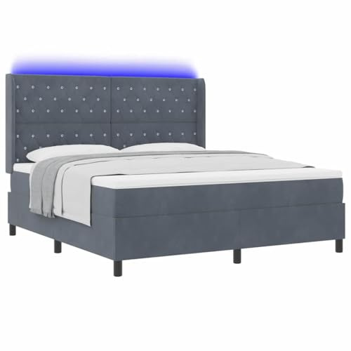 XHNIFBN LED Boxspringbett Dunkelgrau 180x200 cm mit Matratze und RGB Leuchte Langlebiger Holzrahmen Samtbezug Modernes Design für Schlafzimmer und Gästezimmer