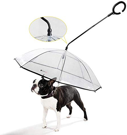PETEMOO Hund Regenschirm mit Leine für Hundegehen im Freien (Schnee/Regen)