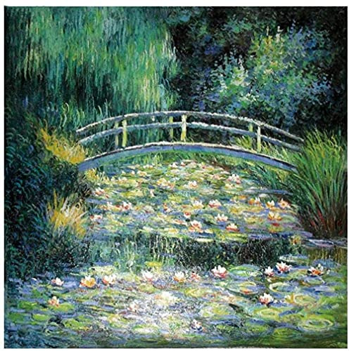 Kreuzstich Stickerei DIY Handarbeit Stickpackung Set Monet Seerose Landschaft，DIY Stickvorlage vorgedruckt Sticken Stickset Handwerk Geschenk （11CT 16x20 inch）