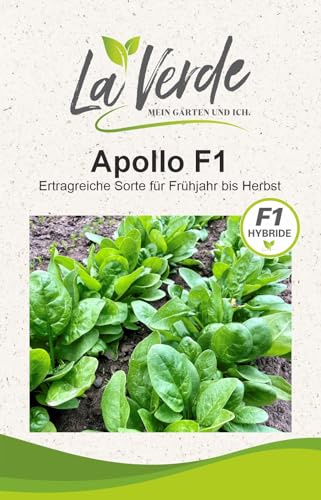 La Verde MEIN GARTEN UND ICH. Apollo F1 Spinat Samen für ca. 300 Pflanzen, ertragreiche Hybride, widerstandsfähig, Saatgut ohne Gentechnik