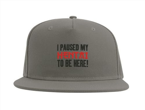 Lauthings I Paused My Manga to Be Here Ecchi Yaoi Snapback Cap Fullcap Embroidered Hat Grey, grau, Einheitsgröße