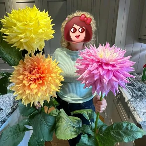 Lange BlüTezeit, Kletterpflanzen im Topf, Balkon Rhizome, Blühende Schnellwachsende, MehrjäHrig dahlien, Winterharte Bienenfreundlich, 4Dahlien-A