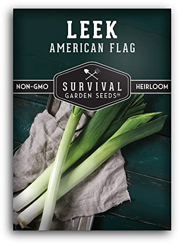 Survival Garden Seeds - Large American Flag Leek Seed for Planting - 1 Pack with Instructions to Plant and Grow Flat Leaved Blue Green Alliums in Your Home Vegetable Garden - Non-GMO Heirloom Variety