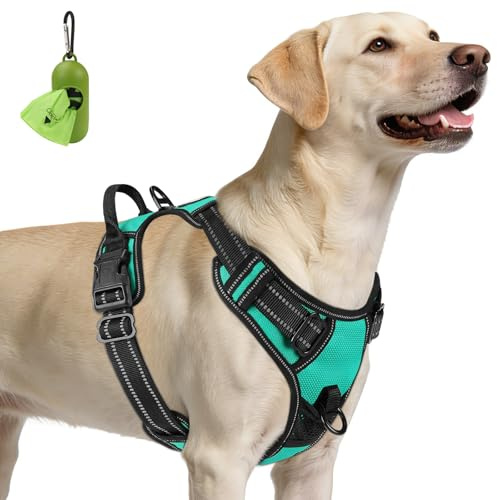 Joytale No Pull Dog Harness for Large Dogs, Reflective Pet Vest with Front Clip, Adjustable Soft Padded Harnesses with Easy Control Handle for Training and Walking, Teal, L