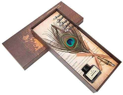 Yctze Ensemble de Stylos à Plume de Paon de Calligraphie élégante avec 5 Plumes et Bouteille d'encre - Instrument d'écriture Vintage pour Projets Créatifs
