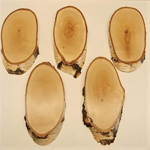 5 Stück Birke Schilder Trophäenschilder REH groß Rehbock Geweih Baumscheibe Baumschild Natur Holz modern