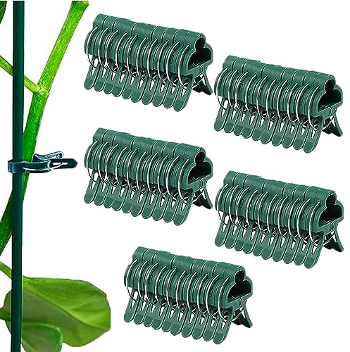 YOUNLEN 50 Stück Pflanzenclips Pflanzenklammern, Pflanzenclips für Kletterpflanzen, tomatenclips blumenklammern, Stabile Klammern für Kletterpflanzen Befestigung(50 Große)