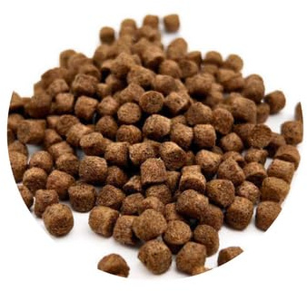 Warnick's Fischfutter Koifutter Top Energy Plus 6 mm - 10 kg | Wachstumsfutter für Koi & Zierfische - Hoher Proteingehalt für kräftiges Wachstum - Schwimmfähig & gut verdaulich