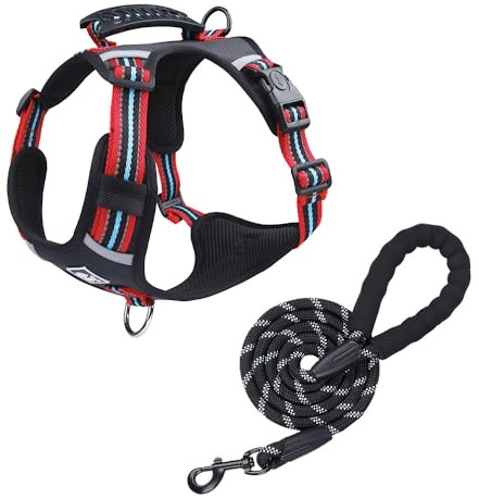 PetFizz Hundegeschirr Verstellbares, Weich gepolsterte Haustierweste, Anti Zug Hundegeschirr kleine, mittelgroße & Grosse Hunde Size S（1,5 Meter langes Führungsseil）