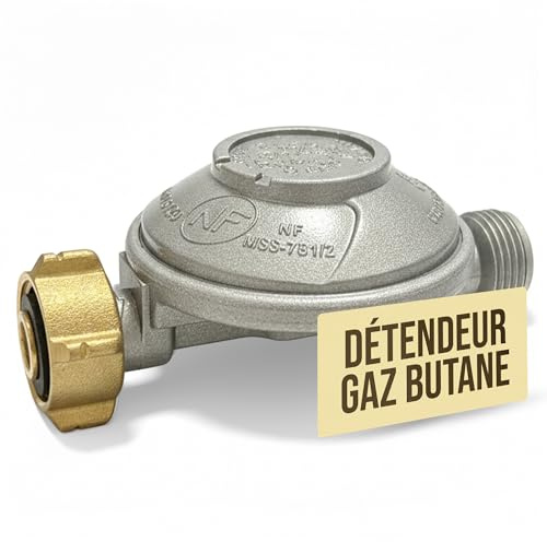 Générique Détendeur Gaz Butane 28 mbar Sécurité Limiteur Débit – Raccord Fileté G.2 Bouteille 13 kg – Sortie Mâle 20x150 – pour Réchaud, Gazinière, Chauffage – Conforme Norme NF en 16129