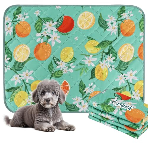 BVAGSS Waschbar Haustier Urinunterlage, 2 Stück Wiederverwendbare Trainingsunterlagen für Welpen, Super Saugfähig Welpenunterlagen Haustier Hygieneunterlage XH081 (60x60cm,Green Lemon)