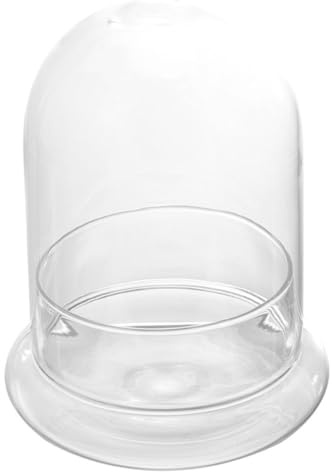 Abaodam Terrarium Écologique Bouteille à Micro-Paysage DIY pour Bureau et Décoration Intérieure Grand Modèle en Verre Transparent avec Cloche en Verre à Trou Ventilé