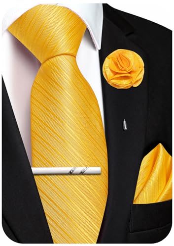 Ailisus Krawatte Herren Set Streifen Seiden Krawatte mit Einstecktuch Ansteckblume Krawattenklammer für Hochzeit Party 4PCS
