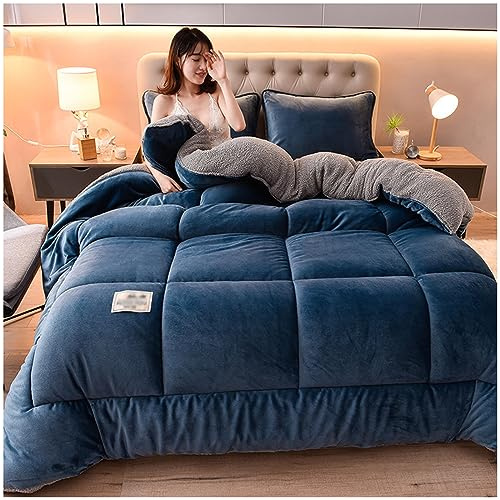 ZTGL Trapunta Invernale Imbottita 2-5kg Piumone Caldo Letto 2 Piazze, Coperta Plaid Sherpa Doppio Strato Morbida Matrimoniale Pile Vellutato MOD,C,220x240cm(5kg)
