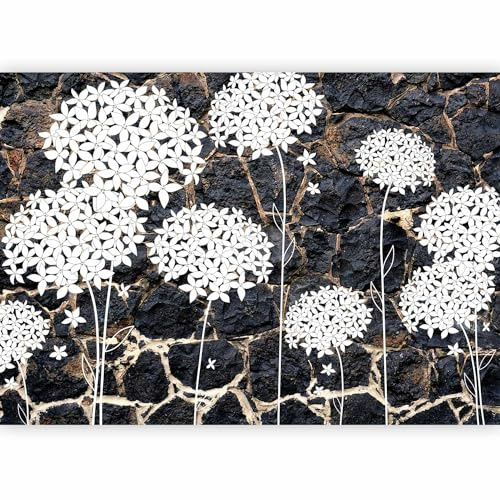 Fotomurales B&D XXL Diente de leon 350x256 cm Papel pintado | tejido no tejido Decoración de Pared decorativos Murales moderna Diseno Fotográfico Piedras Naturaleza Flores