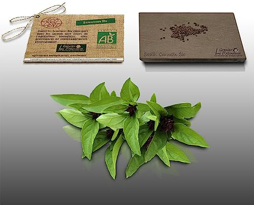100 graines Bio à semer - Le Grenier d'Abondance - BASILIC Cannelle - Certifié AB - Ocimum basilicum