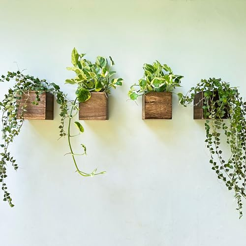 LaLaGreen Pflanzkästen aus Holz (10,2 x 10,2 cm, 4 Stück), kleiner, quadratischer Holz-Blumentopf zur Wandmontage, für Zimmerpflanzen, Fensterkastenhalterung, hängende Kräuter-Pflanzgefäße