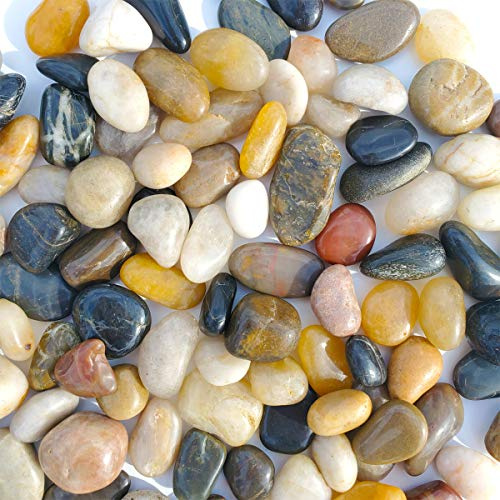 SACKORANGE 2 Libras Acuario Gravel River Rock – Grava Decorativa Pulida Natural, Piedras Decorativas pequeñas, Piedras de Colores Mezclados, para acuarios, paisajismo, jarrones (32-oz)