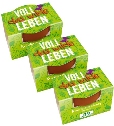 Bull & Bear 3er Set Mini Pflanzset 'Voll das Wilde Leben' Kräutermischung im Topf 4,5cm, Kräutersamen als Anzuchtset mit Pflegeanleitung