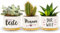Darlena Migliore mamma del mondo | regalo di compleanno | regalo di compleanno | regalo di erbe aromatiche per la mamma per compleanno, festa della mamma o Natale | vasi da fiori da piantare