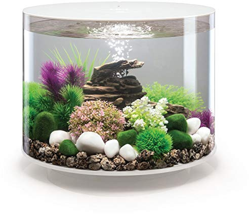 biOrb Aquarium 35 Liter LED weiß für Fisch, Acryl, Oval, Modern, Durchsichtig