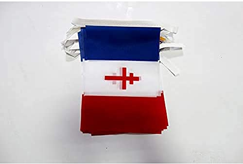 AZ FLAG Festone Francia libera 1940-1944 6 m 20 bandiere Poliestere Leggero | Uso interno ed esterno ghirlanda di bandiere del movimento France libre France libre 1940-1944