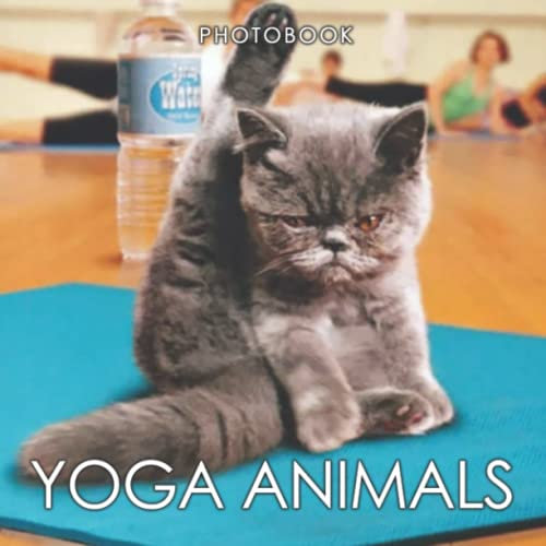 Yoga Animals Photobook: 30+ High Quality Images Of Yoga Animals For Everyone