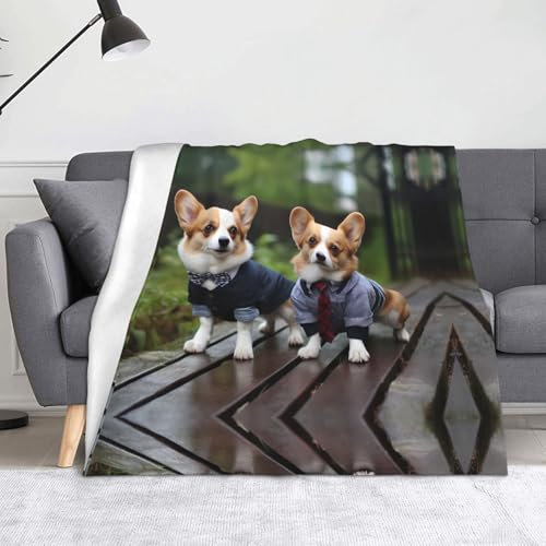 BROLEO Faltbare Decke, Überwurf, 152,4 x 127 cm, geeignet für Sofa, Bett, Schlafzimmer, Reisen, Camping, Tragen von Kleidung, Corgi-Hunde-Aufdruck