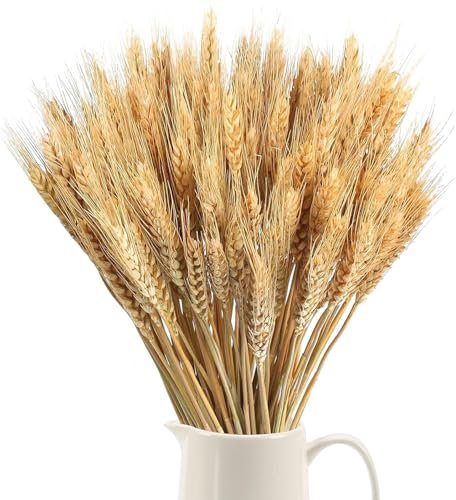 Minnhua 100PCS Spighe di Grano Decorative Fiori Essiccati Grano Bouquet Fiori Secchi Naturali Fiori Finti Grano da Interno per Decorazioni Casa Vaso Tavolo Matrimonio DIY 40cm